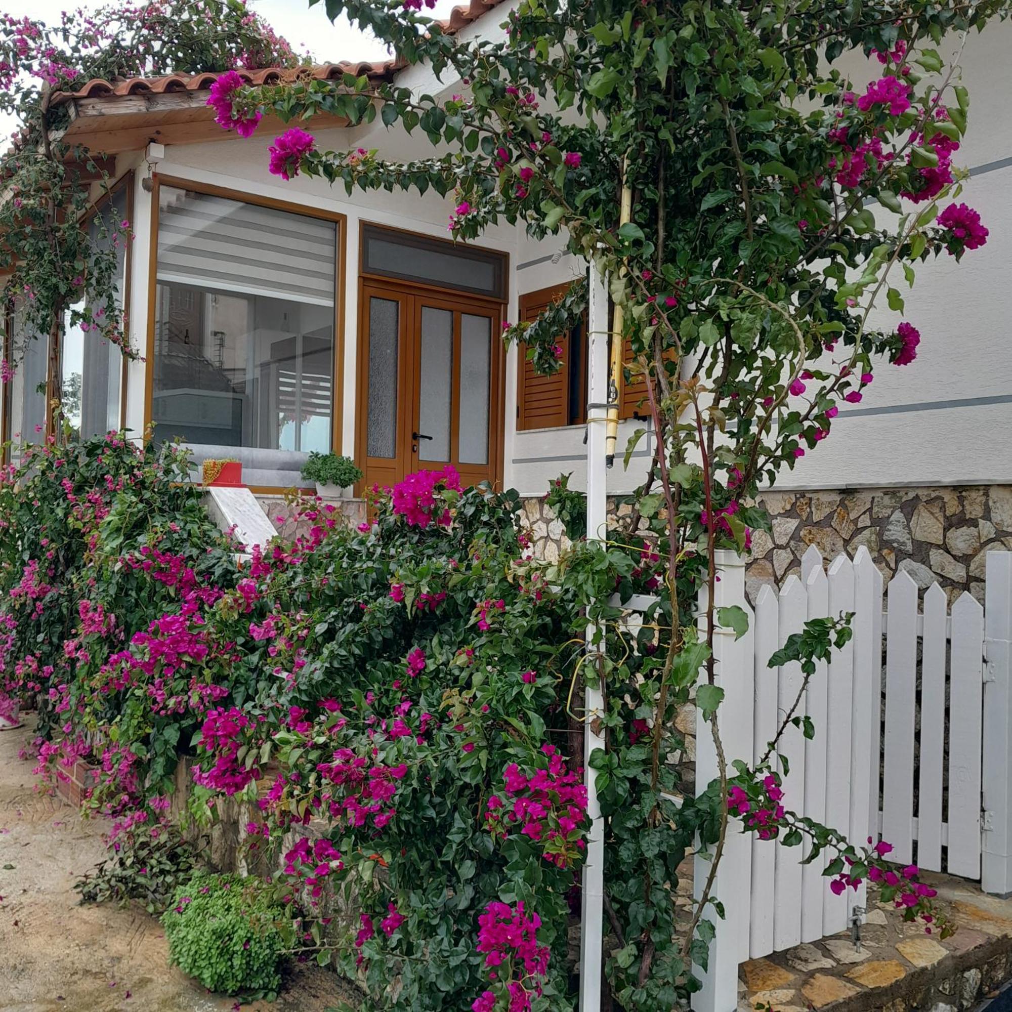 Luxury Dennis Home Sarande Exterior photo